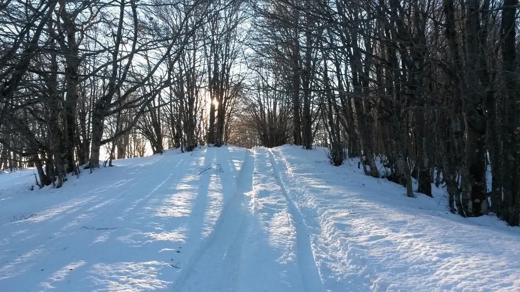 Il Canalotto Longi Экстерьер фото